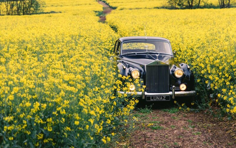 David Beckham a făcut cadou de nuntă fiului său un Jaguar XK140 electric